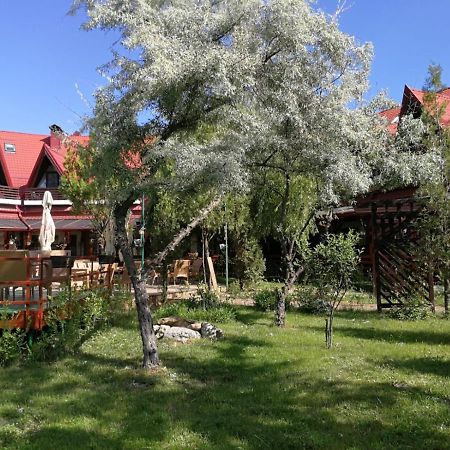 ホテル Pensiunea Casa Matei Berca エクステリア 写真