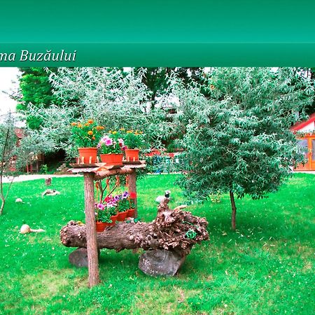 ホテル Pensiunea Casa Matei Berca エクステリア 写真