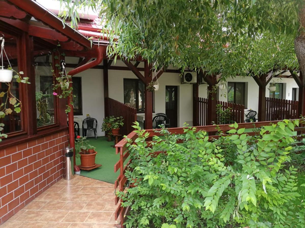 ホテル Pensiunea Casa Matei Berca エクステリア 写真