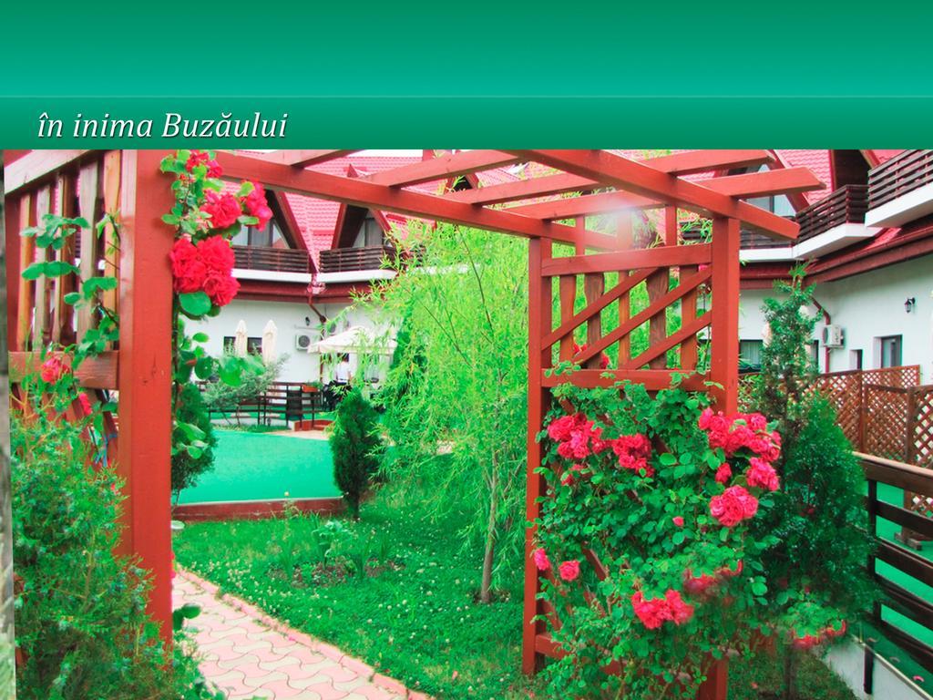 ホテル Pensiunea Casa Matei Berca 部屋 写真