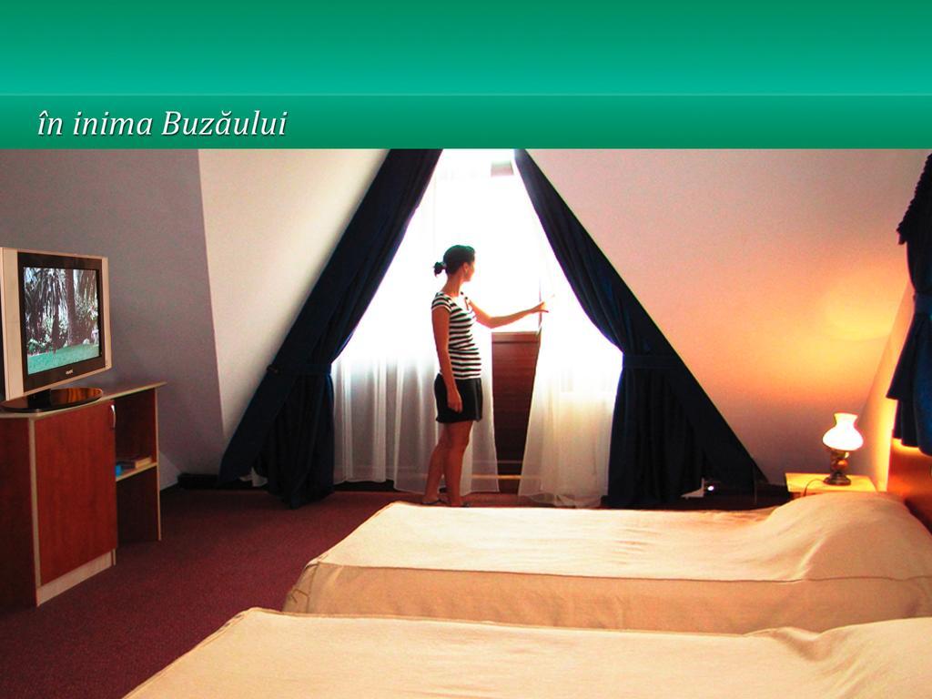 ホテル Pensiunea Casa Matei Berca 部屋 写真