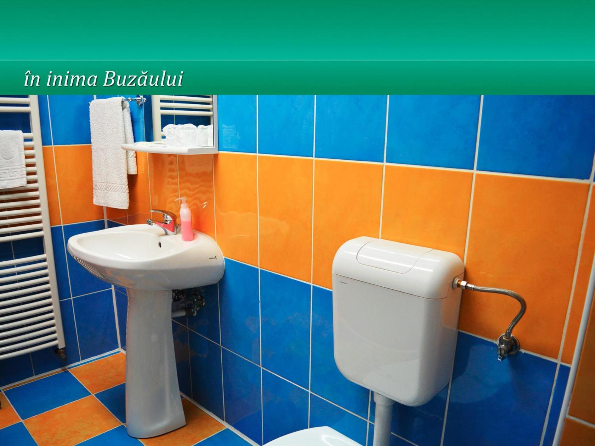 ホテル Pensiunea Casa Matei Berca エクステリア 写真