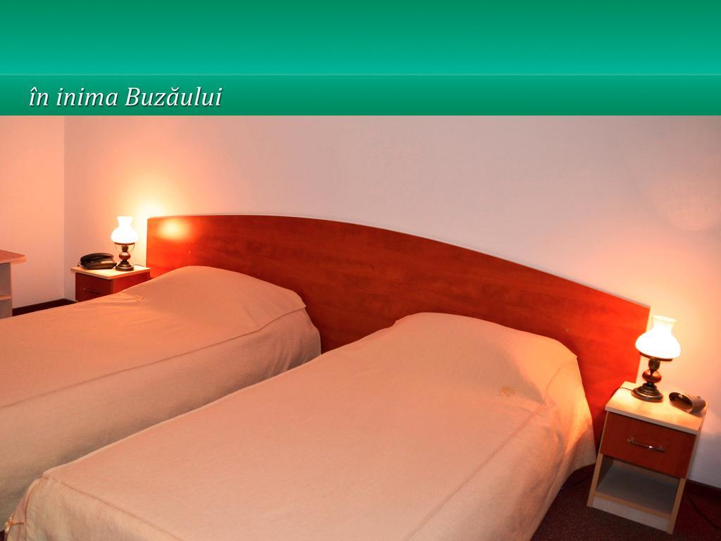 ホテル Pensiunea Casa Matei Berca 部屋 写真
